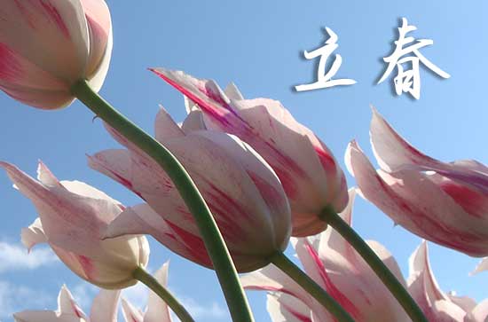 2024立春是哪一天 2024立春这天宜做什么