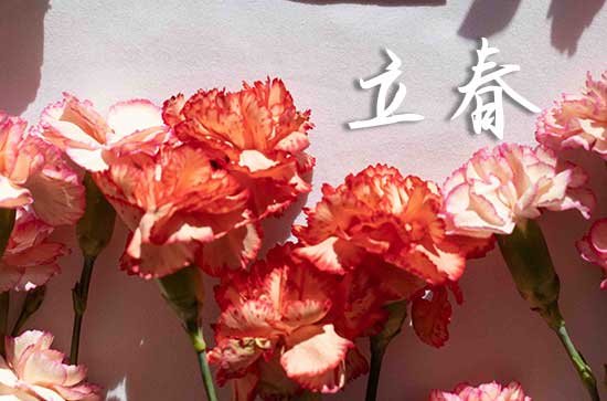 2024立春是哪一天 2024年立春动土修造好不好