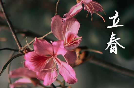 2024年立春是什么时候时间 2024年立春出去玩合适吗