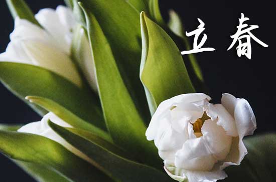 2024年2月4号立春是几点几分