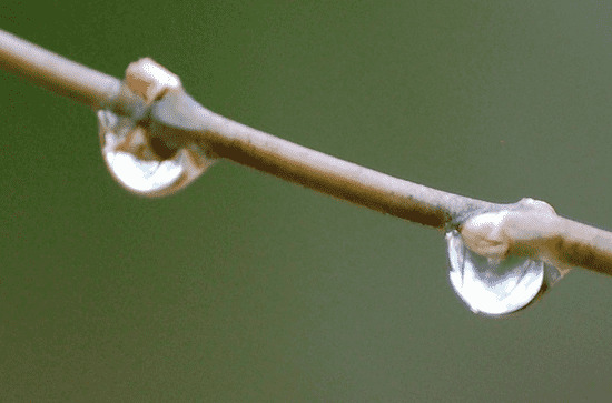 梅雨季节怎么除湿防潮 梅雨季节的特点