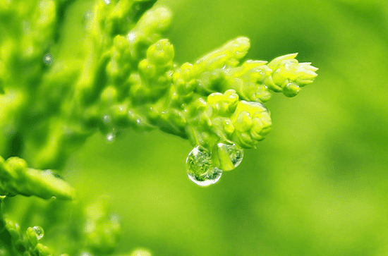 梅雨季节怎么保持室内干燥  梅雨季节的健康防护小贴士