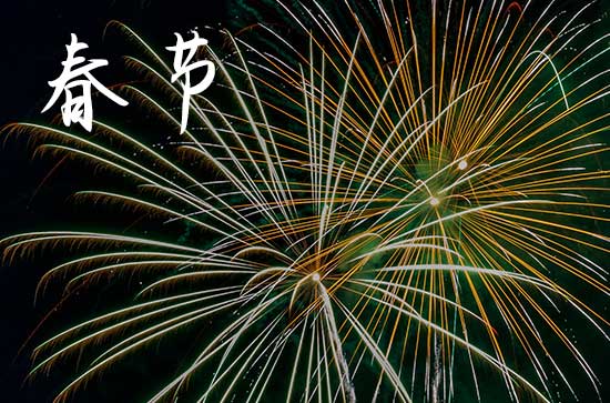 2024年春节对青年祝福语  春节对青年祝福语大全