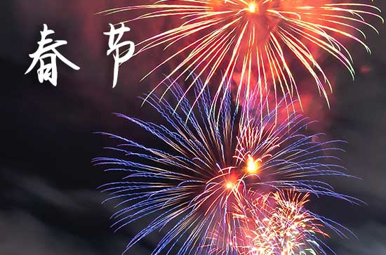 2024春节家庭祝福语  春节祝家人平安健康的话语