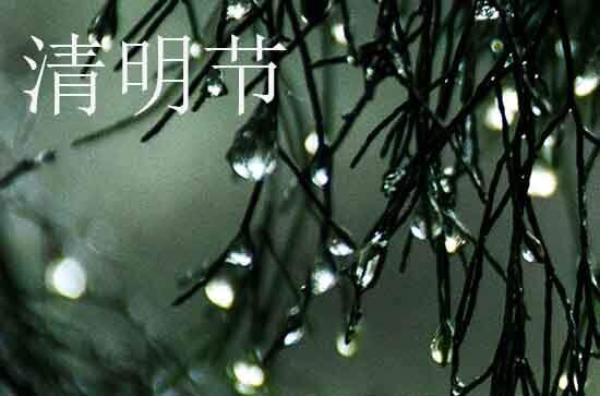 2024年清明节手机祝福语  清明节手机祝福语简短内容
