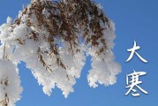 2024大寒节气吃什么美食最好 大寒必吃的食物