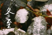 2023年冬至是几月几日 2023年冬至能殡葬吗