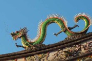 2024年属龙最佳训狗日子一览 2024年生肖龙最佳训狗吉日一览