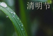 2024年清明节微信节日祝福语  清明节问候语微信摘录