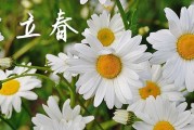 2024年打春是立春吗 打春和立春有什么区别