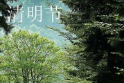 清明节安康祝福语   2024清明节问候安康