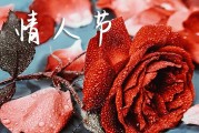 2024白色情人节幽默祝福语 白色情人节浪漫祝福句子