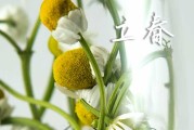 2024今年什么时间立春 今年打春几点几点几分