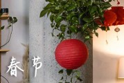 2024春节祝福长辈的祝福语一句话 春节礼貌温暖祝福语送长辈