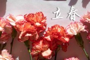 2024立春是哪一天 2024年立春动土修造好不好