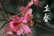 2024年立春是什么时候时间 2024年立春出去玩合适吗