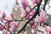 2024年立春迎春打春姑娘为什么不能回娘家 鞭春迎新纳吉