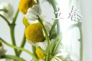 2024年立春农历时间 2024立春当天可以拜灶王爷吗