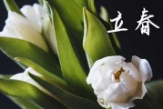 2024年2月4号立春是几点几分