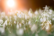 春分节气属于春天吗 春分节气的习俗