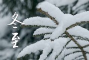 2023年冬至是农历哪一天 冬至吃什么
