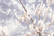 2023大雪是几月几日几点