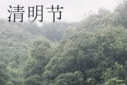 清明节祝福语简短优美2024  清明节祝福语心语唯美