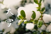 2023年大雪节气几点几分