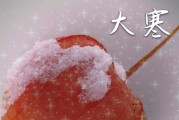2024年大寒小寒是几月几日
